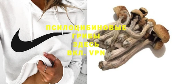 дживик Баксан