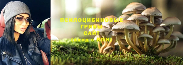 дживик Баксан